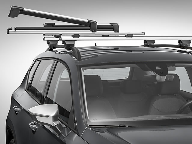 Extendable ski & snowboard rack