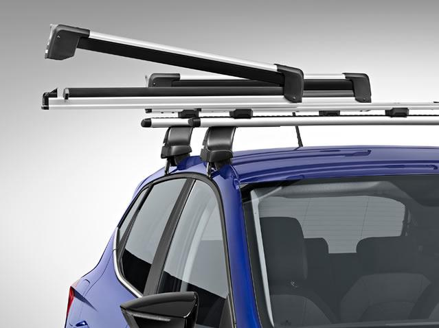 Extendable ski & snowboard rack