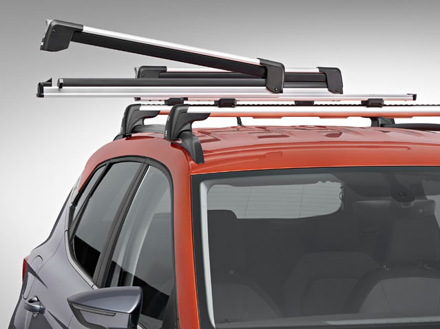 Extendable ski & snowboard rack