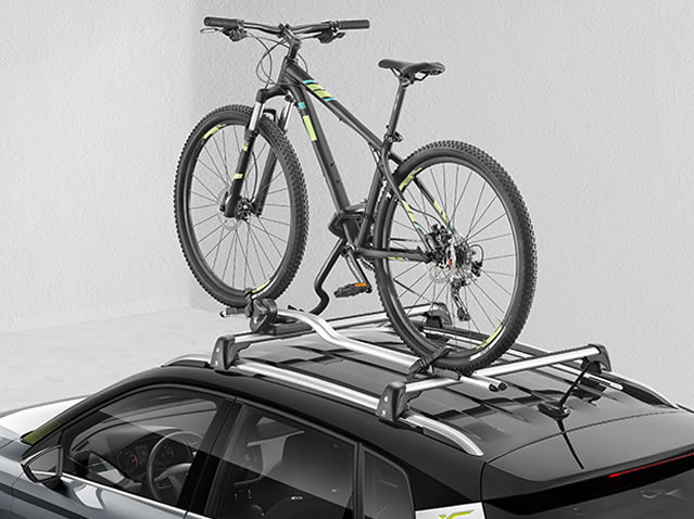 Thule Bike Rack