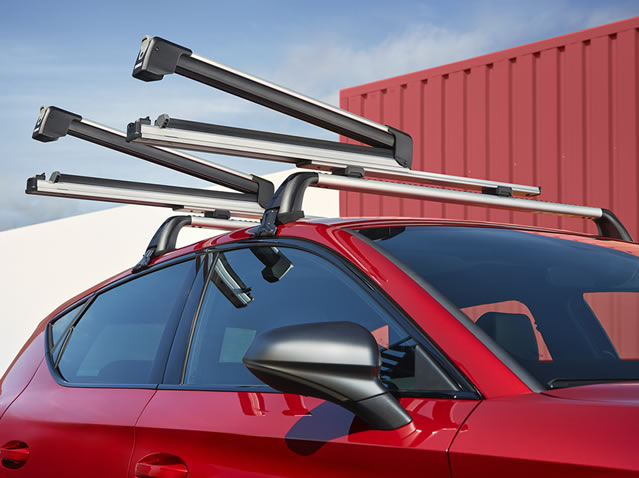 Extendable ski & snowboard rack