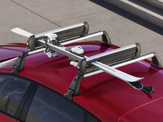 Suporte para esquis e pranchas de snowboard, 6 pares