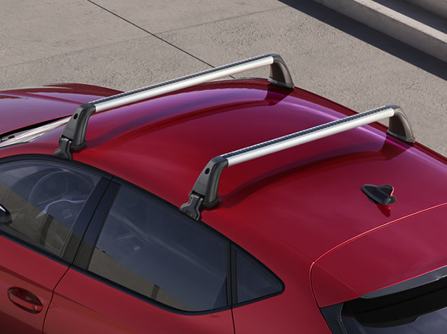 Roof rack