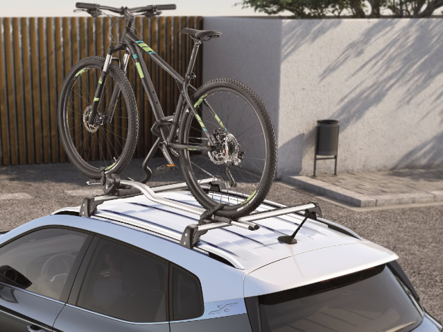 Thule Bike Rack