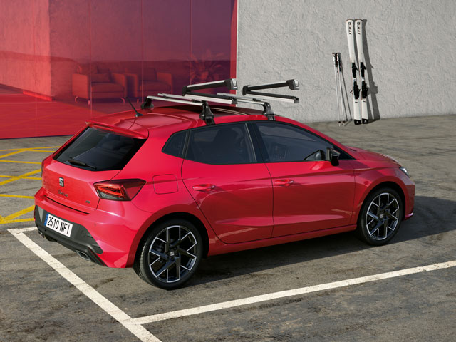 Portasci e snowboard estensibile